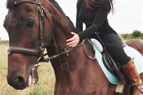 Closeup Picture Of Young Beautiful Woman Rides A Horse 3673411 Stock