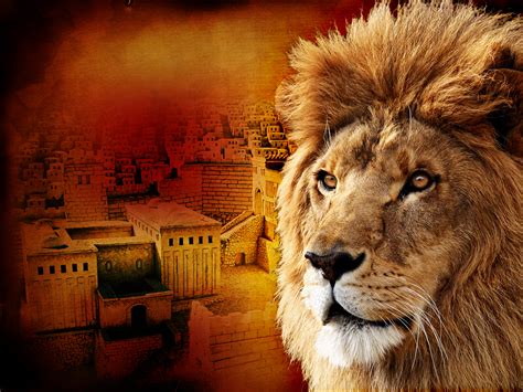74 Lion Of Judah Wallpapers