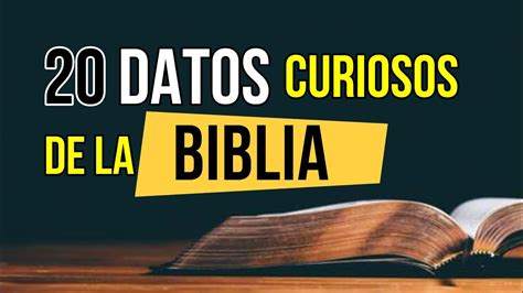 Datos Curiosos De La Biblia Que Debes Conocer Datos Curiosos The Best