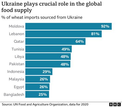 Food Crisis Ukraine Grain Export Deal Reached With Russia Says Turkey