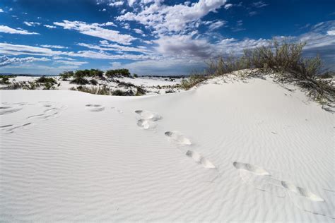 11 Top Things To Do In White Sands National Park For First Time