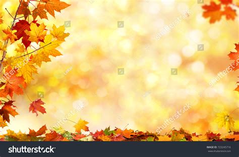 Powerpoint Template Fall Autumn Background With Maple Ojkjlmoin