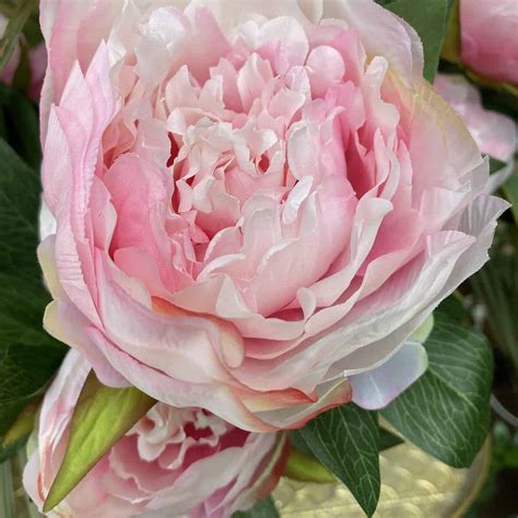 Artificial Peony Flowers Light Pink Indian Rose Sidcup Boutique