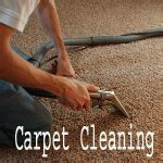 Carpet Cleaning Service Washington Dc