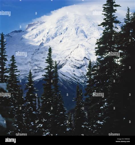 View Of Mtrainier In Cascade Range Washington Stock Photo Alamy