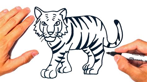 C Mo Dibujar Un Tigre F Cil Dibujo De Tigre Ocuk Geli Imi Ocuk