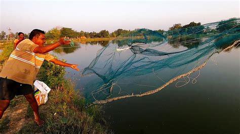 CAST NET PRAWN CATCHING IN THE VILLAGE YouTube