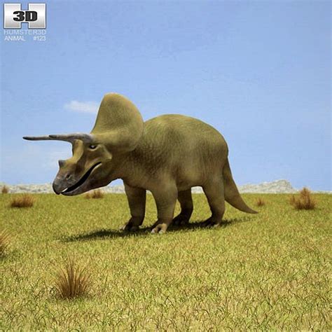 Triceratops Triceratops Horridus 3d Model
