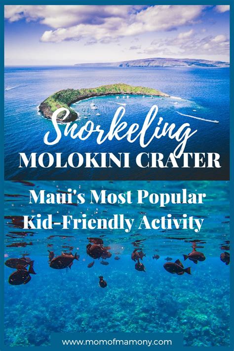 Snorkeling Molokini Crater Mauis Most Popular Kid Friendly Activity