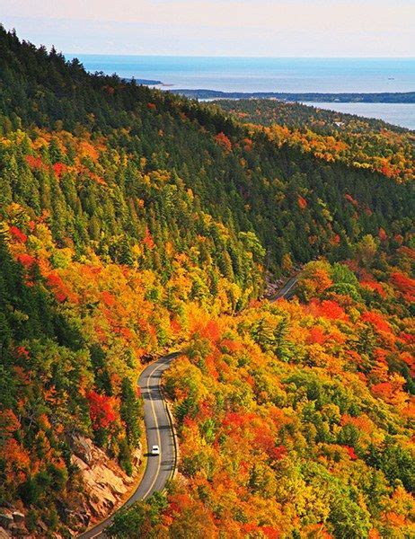 The 18 Best North American Road Trips To See Fall Leaves Artofit