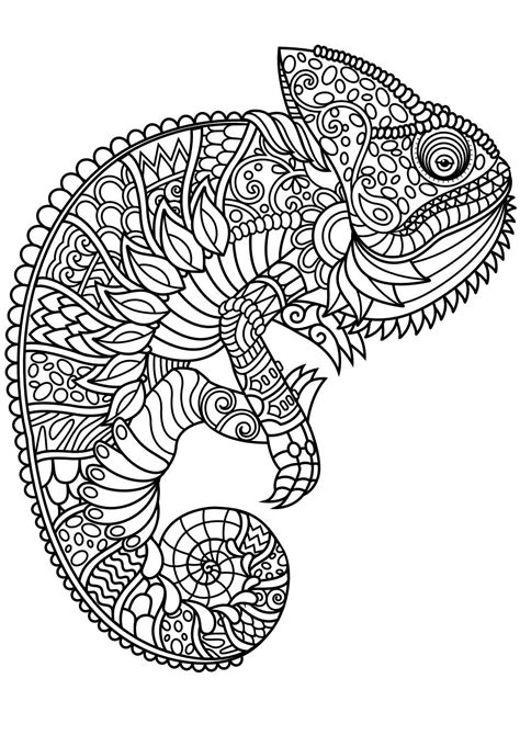 Animal Abstract Coloring Pages At Getdrawings Free Download