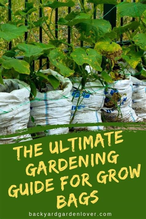 The Ultimate Gardening Guide For Grow Bags