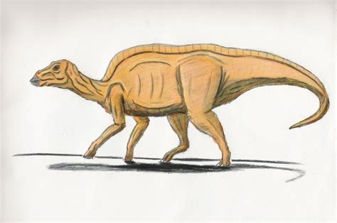Maiasaura Peeblesorum Cn Jurassic Pedia