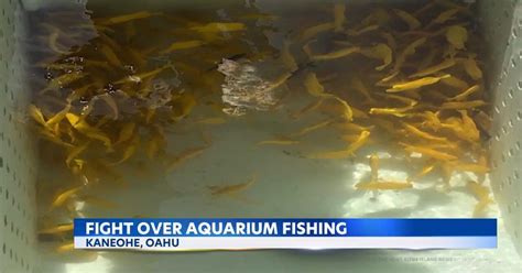 Hawaii Fish Ban Reef2reef Saltwater And Reef Aquarium Forum