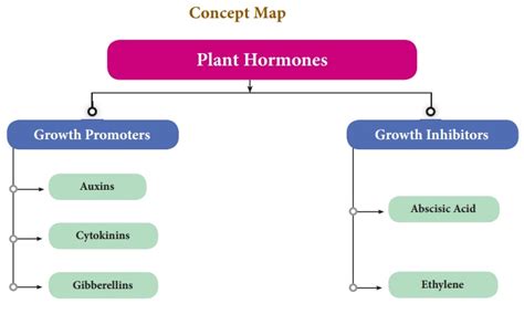 Plant And Animal Hormones Introduction