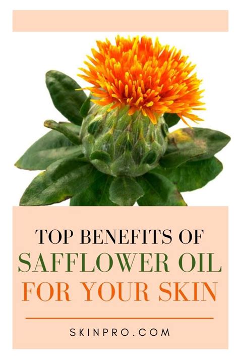 Safflower Oil Has Many Skin And Hair Benefits Plus For Your Health
