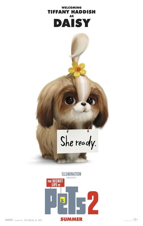 The secret life of pets 2 2019 year free hd. The Secret Life of Pets 2 DVD Release Date | Redbox ...