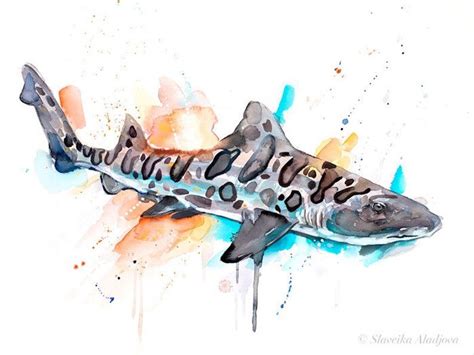 Leopard Shark Watercolor Painting Print By Slaveika Aladjova Etsy
