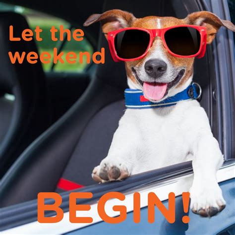Let The Weekend Begin Happy Weekend Quotes Saturday Quotes Funny