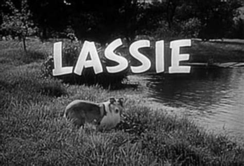 Lassie Tv Yesteryear