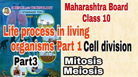 Life Process In Living Organisms Part 1 Cell Division Essential Life