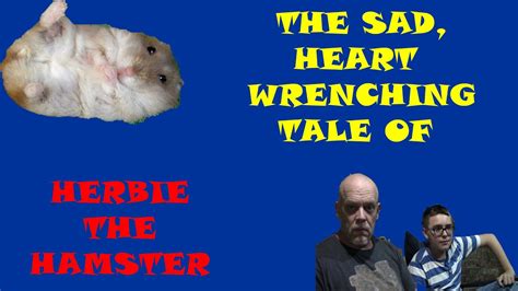 The Sad Heart Wrenching Tale Of Herbie The Hamster Youtube
