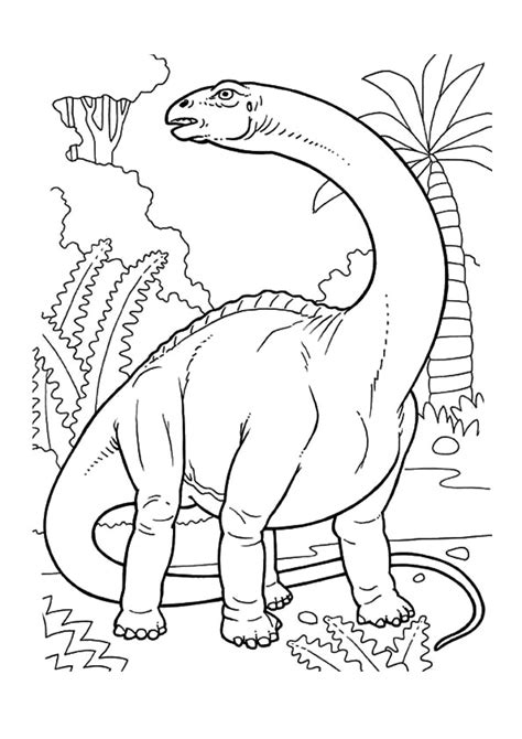 Dinosaurio Triceratops Para Colorear Imprimir E Dibujar Dibujos 123984