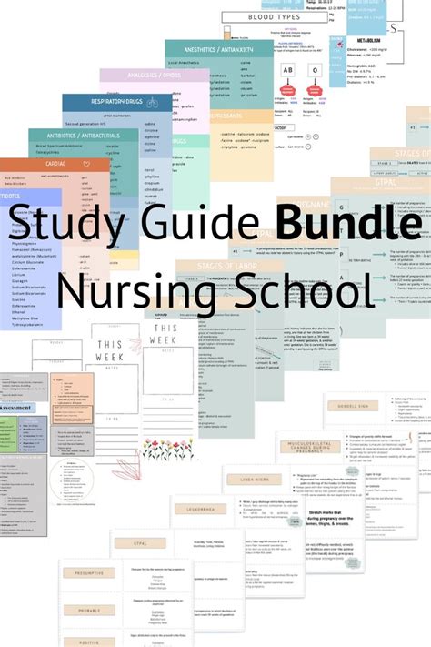 The Complete Nursing School Bundle™ 200 Pages Digital Etsy Nursing