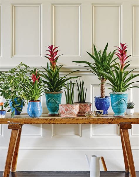 I thought i was changing the way i ate so i could loose the 30 pounds i had put on. Maximise Your Small Hallway with These Simple Decorating ...