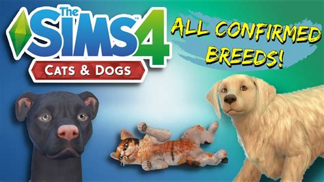 The Full List Of Breeds In The Sims 4 Cats And Dogs Youtube