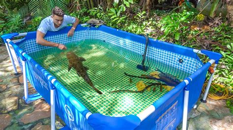 New Fish Pool Pond Gets Huge Expensive Fish Youtube