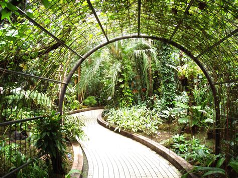 ファイルkyoto Botanical Garden Inside Conservatory Wikipedia