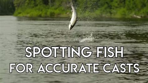 Spotting Fish For Casting Youtube
