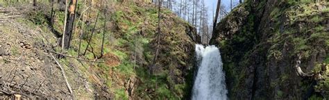 Susan Creek Falls Trail 354 Reviews Map Oregon Alltrails