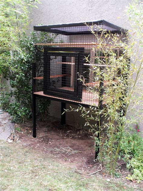 Outdoor Cat Enclosure Beautiful World Living Environments