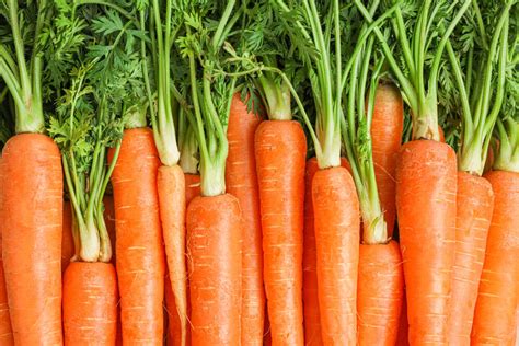 Growing Carrots In Containers A Comprehensive Guide 2022