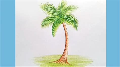 How To Draw Coconut Tree Step By Step Youtube