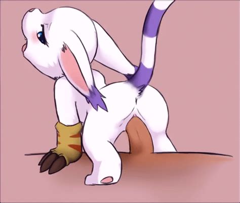 Rule 34 Animated Anthro Anus Claws Darkmirage Digimon Duo Erection