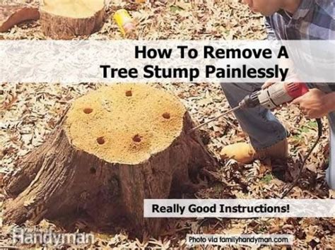How To Remove A Tree Stump Easy How To Instructions
