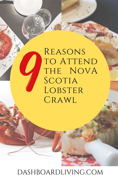 9 Reasons To Attend The Nova Scotia Lobster Crawl Artofit