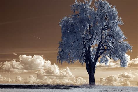 Infrared Filters How To Use Them For Stunning Photos · Urth Magazine