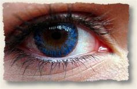 Dimensions Contacts Images Frompo 1 Coloring Wallpapers Download Free Images Wallpaper [coloring837.blogspot.com]