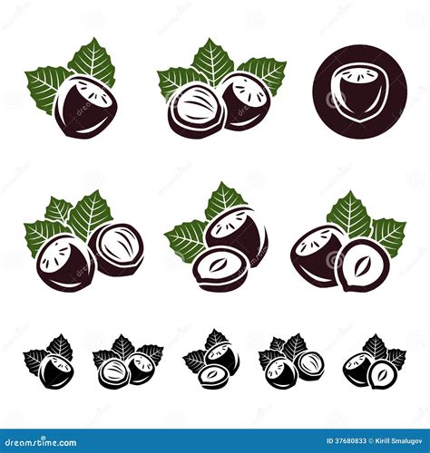 Hazelnut Nuts Set Vector Stock Vector Illustration Of Nature 37680833