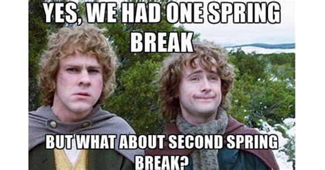 32 Funny Spring Break Memes The Funny Beaver