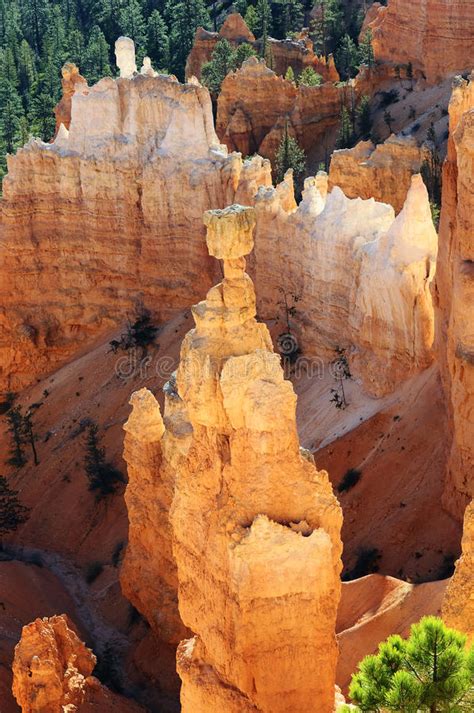 Inside Bryce Canyon Stock Photo Image Of Landscape Orange 15919124