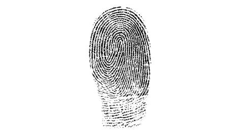 Dealer Commits Fraud Using Fake Fingerprints Commsrisk