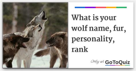 What Is Your Wolf Name Fur Personality Rank