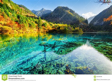 Beautiful Yellow Autumn Forest Reflected In The Five Flower Lake Stock
