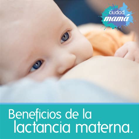 La Leche Materna Le Proporciona Al Beb Los Componentes Nutricionales Para Fortalecer Su Sano