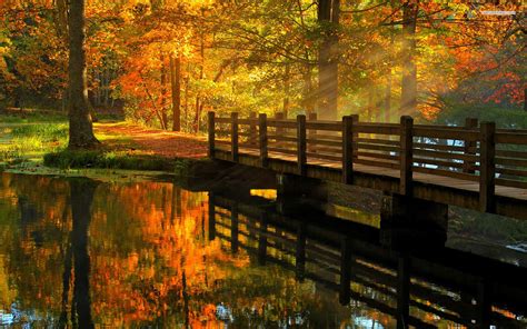 Wooden Bridge Over The River Beautiful Autumn Day